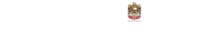 accounting company near me