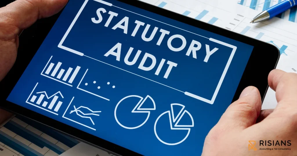 Statutory Audit
